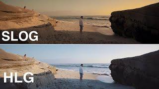 SLOG2 vs HLG2  BEST Picture Profile for Sony A7III A7RIII ??