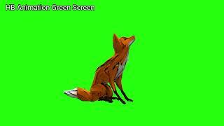 Fox  Animation Green Screen