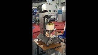 green coconut skin peeling machine from Sally 0086-15937125109