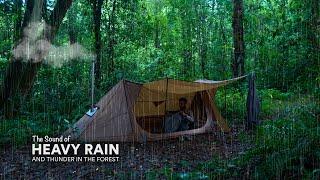 Solo camping during thunderstorms in the forest, cooking aglio olio using a wood stove, ASMR