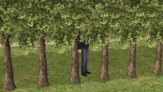 How to Become a Plantsim on the Sims 2