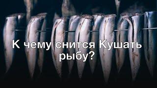 К чему снится кушать рыбу? Толкование сна и его значение по сонникам Ванги и Хассе