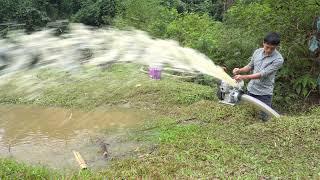 Unique Wild Fishing, Catch Many Fish Using Large Water Cannon Pump Sucks Water Out Of Puddle