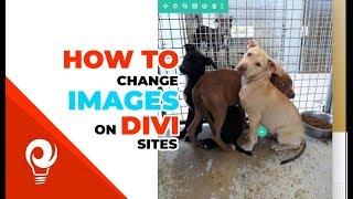 How to change images on Divi websites