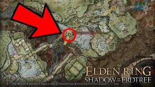 How to reach the Rauh Ancient Ruins East - in ELDEN RING: Shadow of the Erdtree