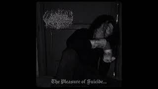 Beyond Melancholy - The Pleasure of Suicide (FULL ALBUM) (DSBM)