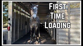 First Time Loading a Mustang  | Salt Wells Creek 2024