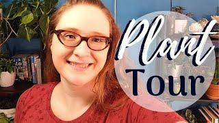 Plant Room Tour | January 2020 Part 1