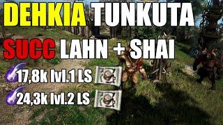 Dehkia Tunkuta | Lvl.1 Lootscroll 17,8k | Lvl.2 Lootscroll 24,3k | Shai + Succ Lahn