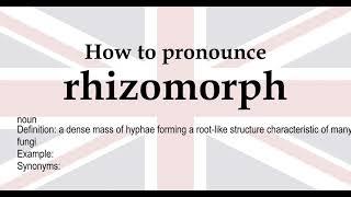 rhizomorph