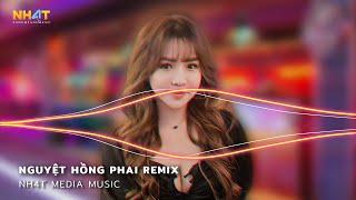 Hoa Kia Rơi Hữu Tình Mà Ta Cớ Sao Vô Hình Remix - Nguyệt Hồng Phai Remix, Ải Hồng Nhan Remix TikTok