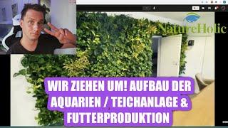 Sascha REAGIERT auf | Garnelio- Wir ziehen um! Aufbau Aquarien / Teichanlage & Futterproduktion