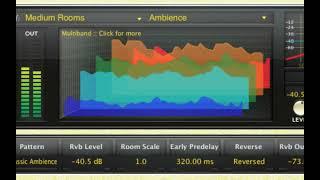 Lexicon Pro PCM Native Reverb Plugin | Realtime Display