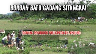 BERBURU BABI DI BATU GADANG SITANGKAI