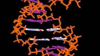 RNA_structure