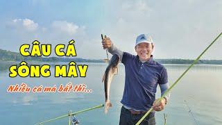 Trải Nghiệm Câu Cá Tại Sông Mây | Câu Cá Bán Tự Nhiên | Chung Nguyễn Fishing