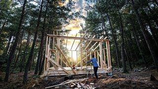 FOREST ESTATE: THE FIRST RAINS and THE FRAME is ready | DRAWING in THE FOREST HOUSE