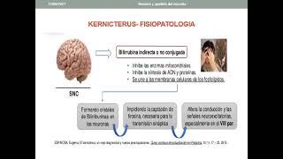 CLASE 23 ENFERMEDAD HEMOLITICA DEL RN