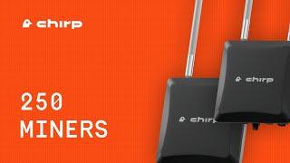 How to buy a Chirp Miner. Passive income with Chirp.