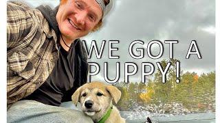 We Got a Puppy! - The Baird Family Goes on an Adventure to Pick-Up Their New Sled Dog Breed