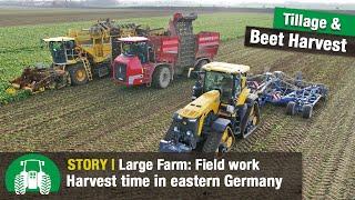 Saat-Gut Plaußig Farm – Part 4 (Beet harvest | John Deere 8RX | Köckerling Vector with Boxer)