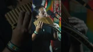 Historia de un Amor #davidmoralessk #music #panflute #live #relax #cover #nativemusician