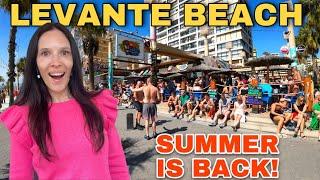 LEVANTE BEACH, Benidorm - Summer Season KICKS IN! ️️