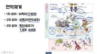 생리학 - 면역기전 & 면역이상