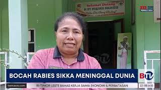 Bocah Positif Rabies di Sikka Meninggal