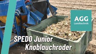 SPEDO Junor Vollernter ist auch für das Roden von Knoblauch geeignet