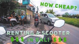 Bali Scooter Rental | How Much It Costs To Rent A Scooter In Bali