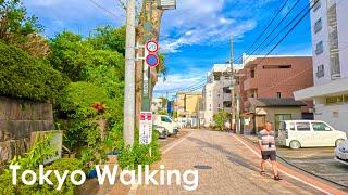 A sunny autumn walk in Japan: Walking through the streets of Kugayama, Tokyo 4K