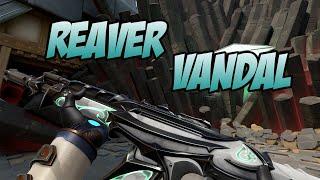 REAVER VANDAL SKIN GAMEPLAY (WHITE) - VALORANT REAVER SKINS