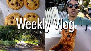VLOG: Week in my life | Productive, realistic, recipe testing, new work studio/house and more.