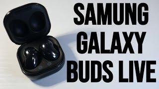 Samsung Galaxy Buds Live Review In 2024! Still My All Time Favorite Earbuds! (Only $100)