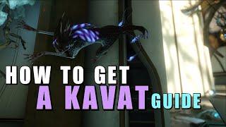 [Warframe] How to get a Kavat Companion (Guide)