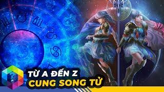 SONG TỬ - Kẻ Đa Nhân Cách Nhất 12 Chòm Cao [Top 1 Khám Phá]