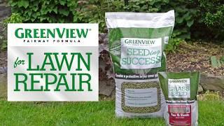 GreenView Fairway Formula for Lawn Repair