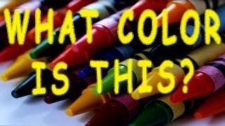 What Color is This?  Color Song for Kids  Kids Phonic Songs  The Learning Station Kids Songs