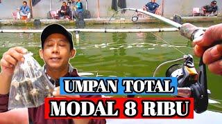 umpan total galatama lele murah meriah modal cuma 8 ribu