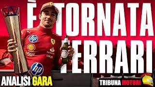 FERRARI AL TOP e MAX VS NORRIS (chi ha ragione?)