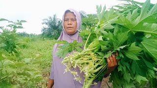 Alhamdulillah rejeki  di bulan suci ramadhan, terima kasih ya Allah ‼️