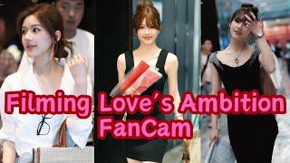 #zhaolusi X #LovesAmbition Fancam Update 240717