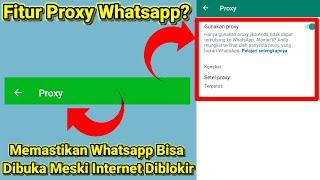Apa Sih Fungsi Fitur Proxy Whatsapp? Cara Kerjanya Bagaimana?