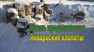 Как  живем, чем занимаемся, новости Подворья Яскино