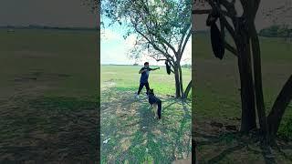 Bobby is watching boxing practice #dog #germanshepherd #doglover #viral