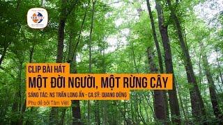 Một đời người một rừng cây - NS Trần Long Ẩn Vietsub Lyrics