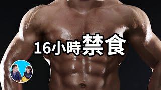 16個小時不吃東西，人體將啟動的一個高級的隱藏功能 | 老高與小茉 Mr & Mrs Gao