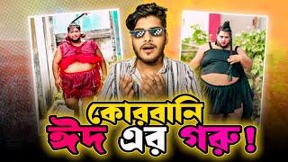 কোরবানি ঈদে গরু!! TIKTOK ROAST - Bangla Roasting Video | YouR AhosaN