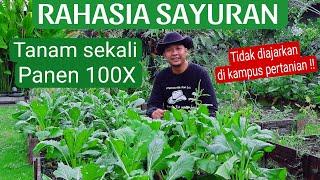 Petani Untung 700x lipat dengan Hal ini, Rahasia Organik!!